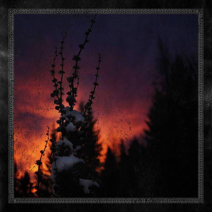 Portada del álbum "Nocturnal Womb", de BlackBraid