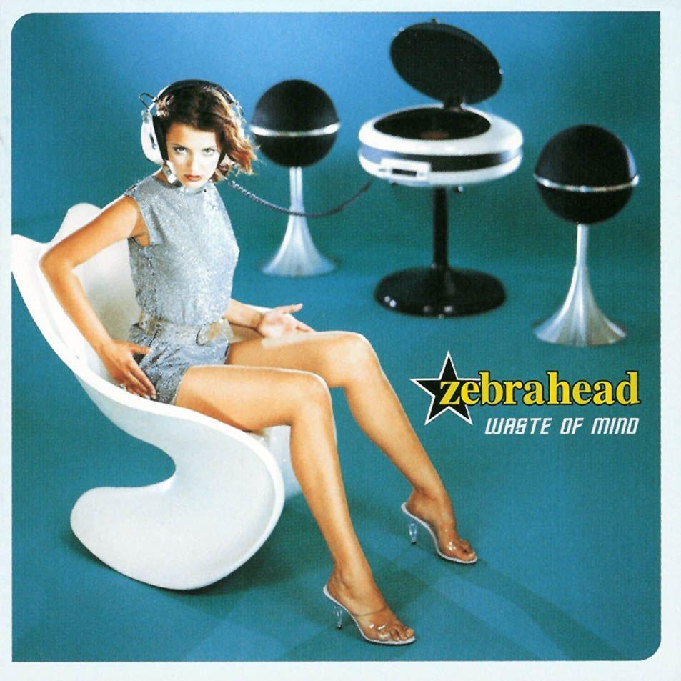 Capa do Álbum "Waste Of Mind", de Zebrahead