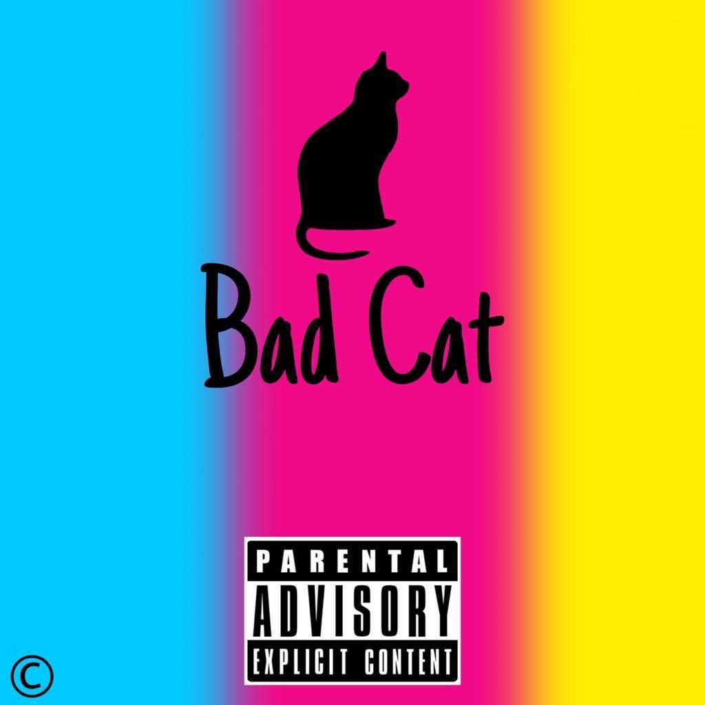 Portada de Sencillo/EP "Bad Cat", de Kaez1nho