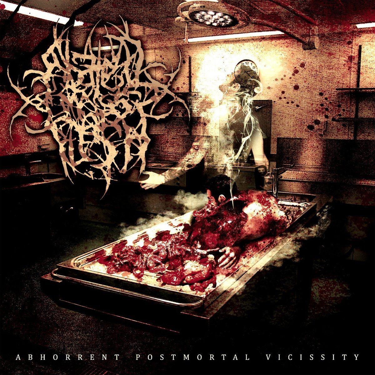 Portada de Álbum "Abhorrent Postmortal Vicissity", de Abated Mass Of Flesh