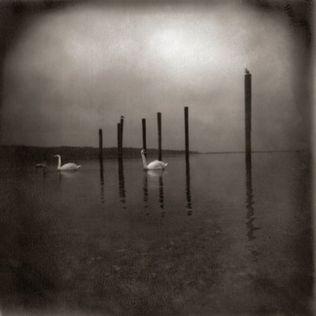 Portada de Álbum "Conference Of The Birds", de OM