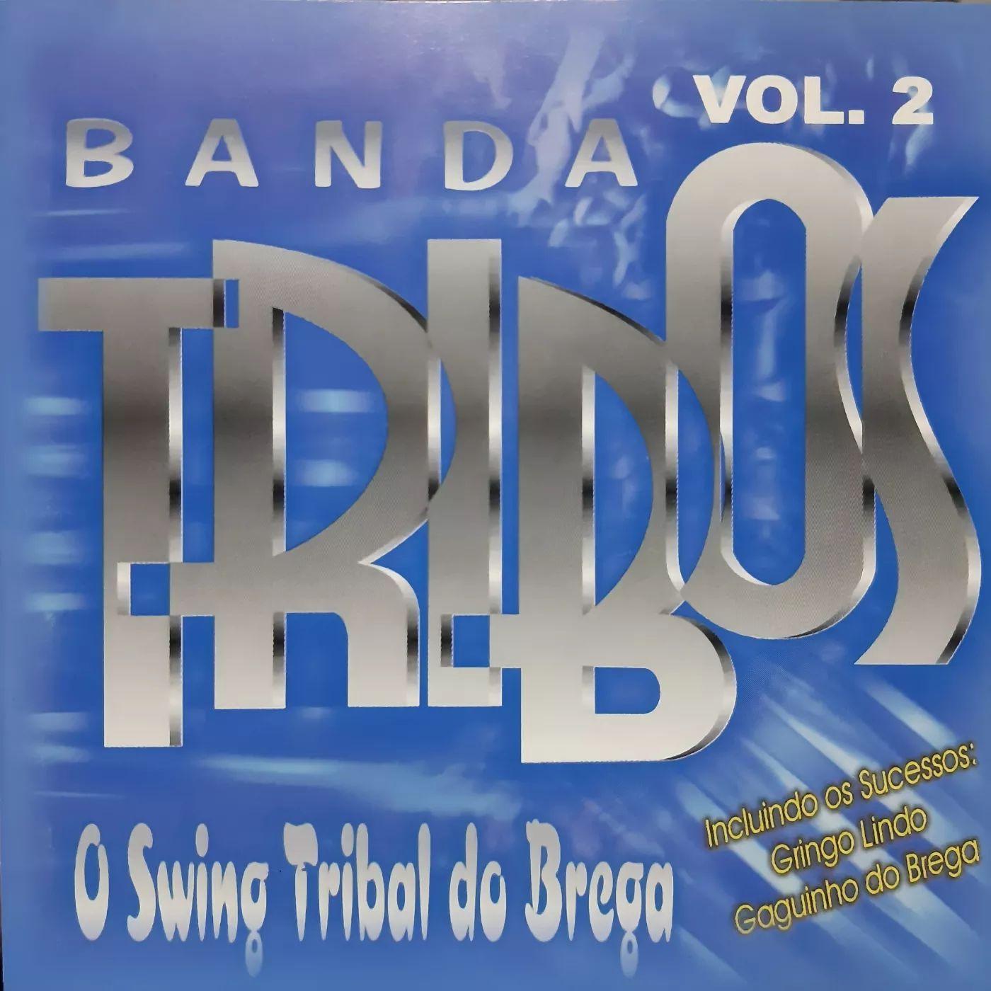 Portada de Álbum "O Swing Tribal do Brega - Vol. 02", de Banda Tribos