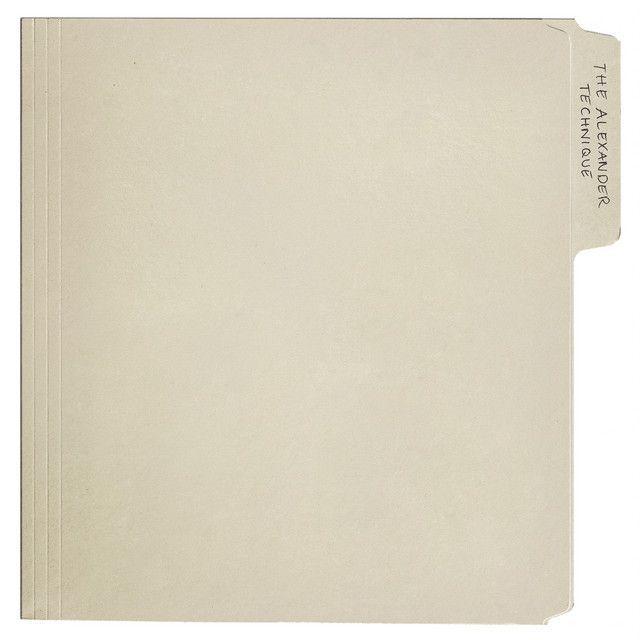 Capa do Álbum "The Alexander Technique", de Rex Orange County