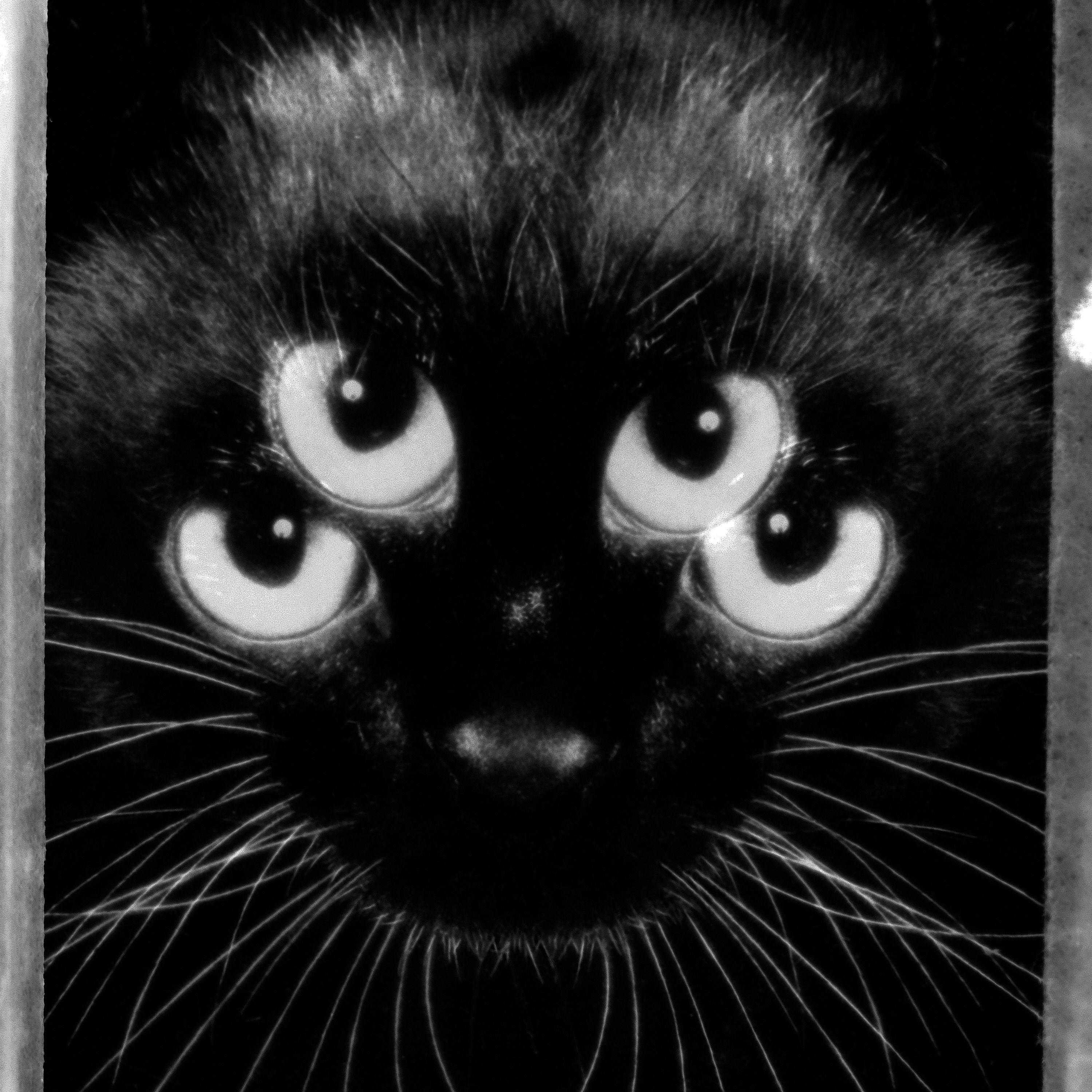 Portada de Álbum "Visita", de Luca Argel