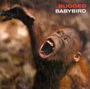 Capa do Álbum "Ugly Beautiful", de Babybird