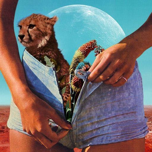 Capa do Álbum "New State Of Mind", de Night Riots