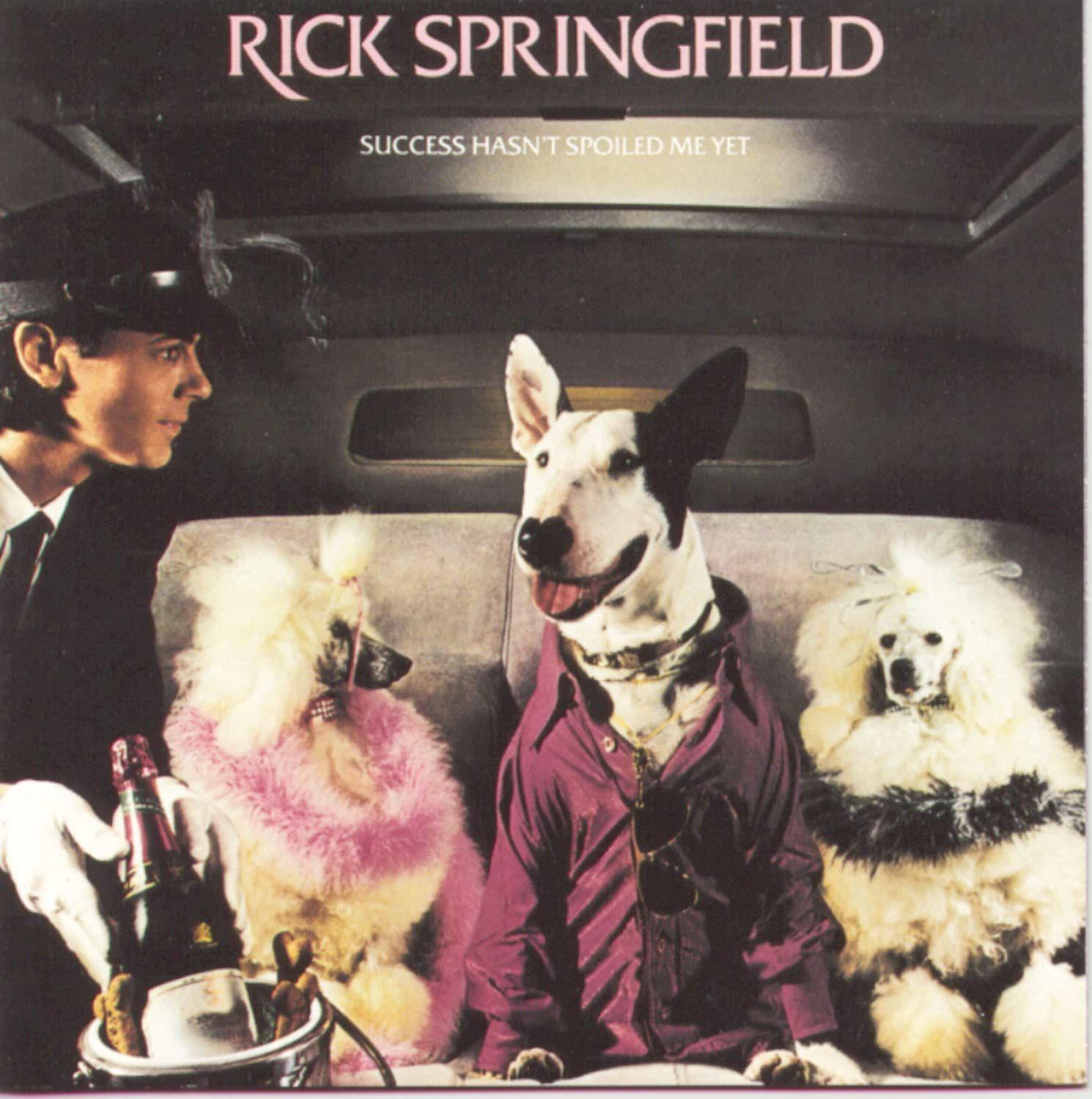 Capa do álbum "Success Hasn't Spoiled Me Yet", de Rick Springfield