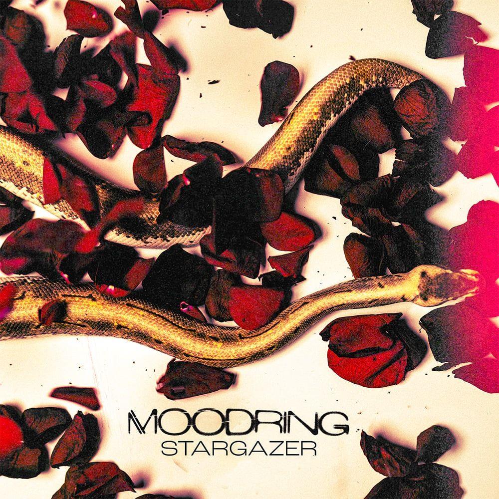 Portada de Álbum "Stargazer", de Moodring
