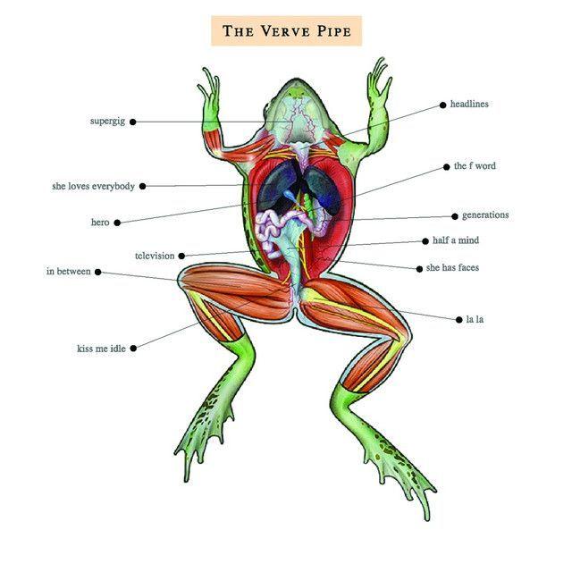 Album cover of "The Verve Pipe (1999)" by The Verve Pipe