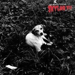 Portada del álbum "Skylab VII", de Rogério Skylab