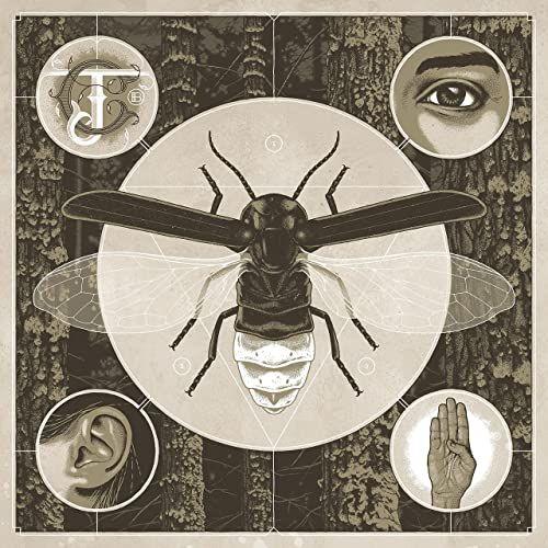 Capa do Álbum "Brighten", de Jerry Cantrell