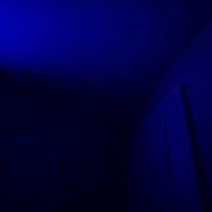 Portada de Sencillo/EP "stay for the night", de Fenne Lily