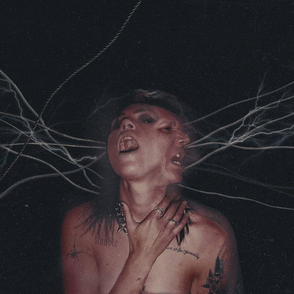 Portada de Álbum "A Call To The Void", de Hot Milk