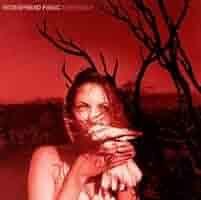 Capa do Álbum "Everyday", de Widespread Panic