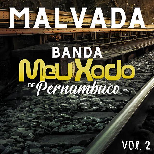 Portada de Álbum "Meu Xodó de Pernambuco (Vol. 2)", de Meu Xodó De Pernambuco