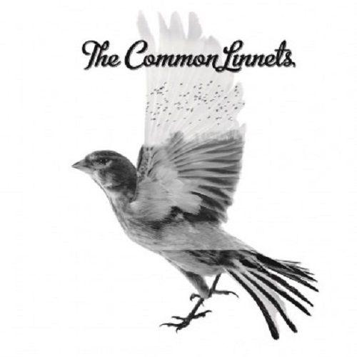 Album cover of "The Common Linnets" by The Common Linnets