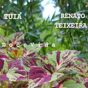 Portada del álbum "Doce Vida", de Renato Teixeira