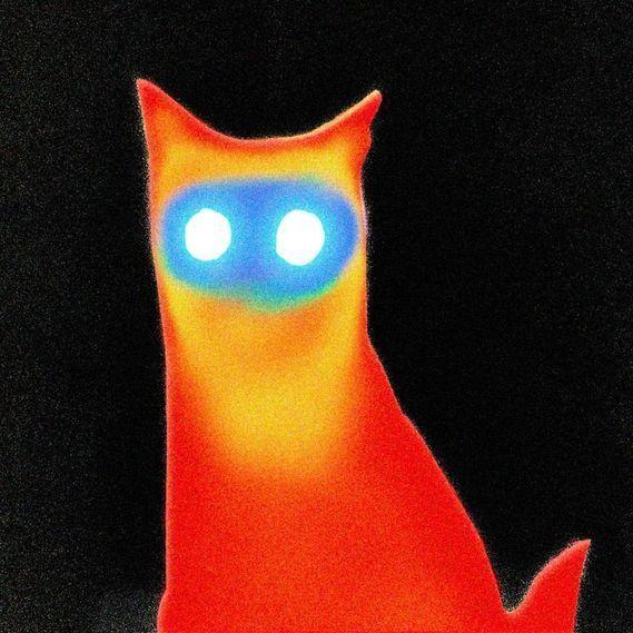 Capa do Álbum "WIRED", de Basement