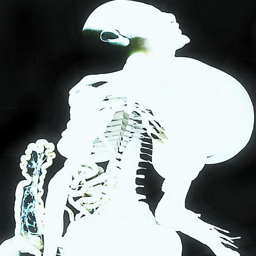 Capa do Álbum "Entrañas", de Arca