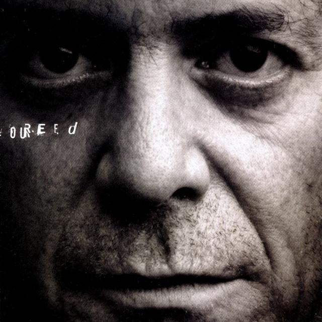 Album cover of "Perfect Night" by Lou Reed