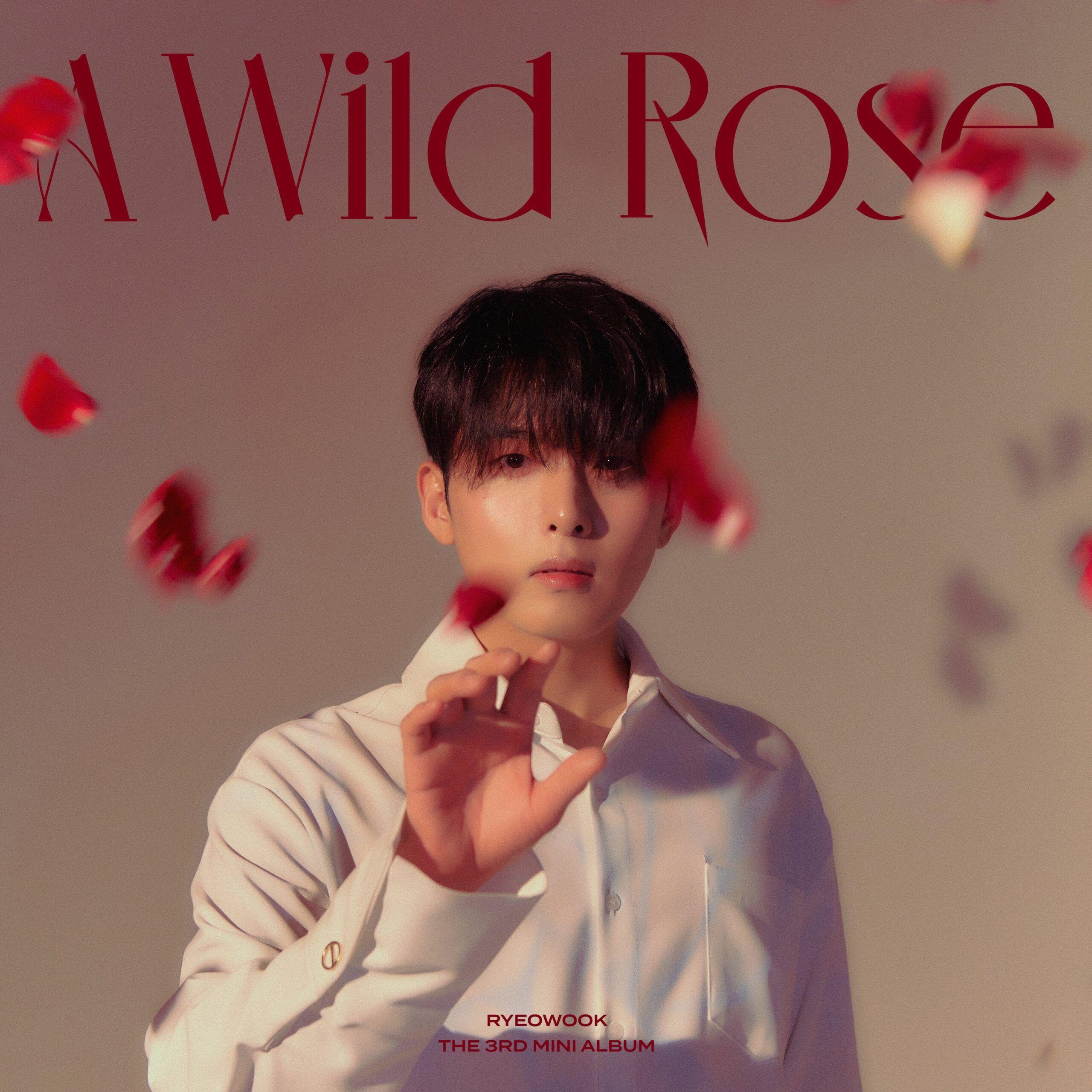 Capa do Single/EP "A Wild Rose - The 3rd Mini Album", de RYEOWOOK