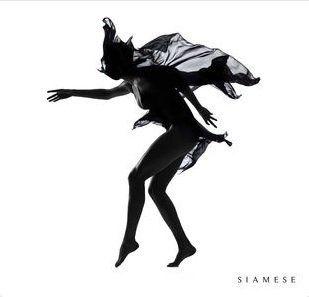 Portada de Álbum "SIAMESE", de Siamese