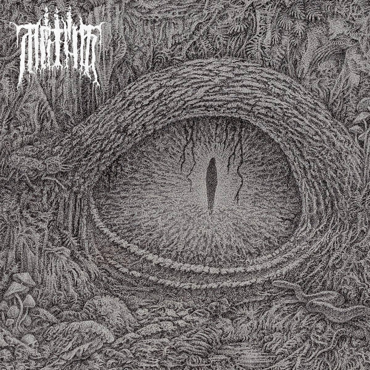 Portada de Álbum "Divided in Life", de Mrtva Vod