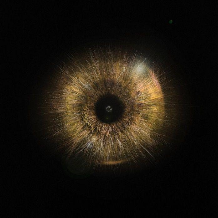 Portada de Álbum "Lapso", de menores atos