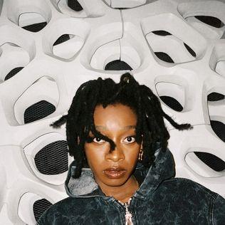 Capa do álbum "NO THANK YOU", de Little Simz