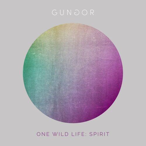 Portada de Álbum "One Wild Life: Spirit", de Gungor