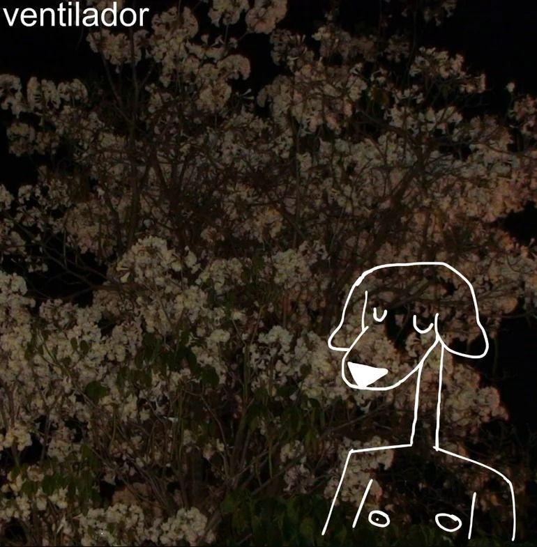 Single/EP cover of "ventilador" by vagos sonhos