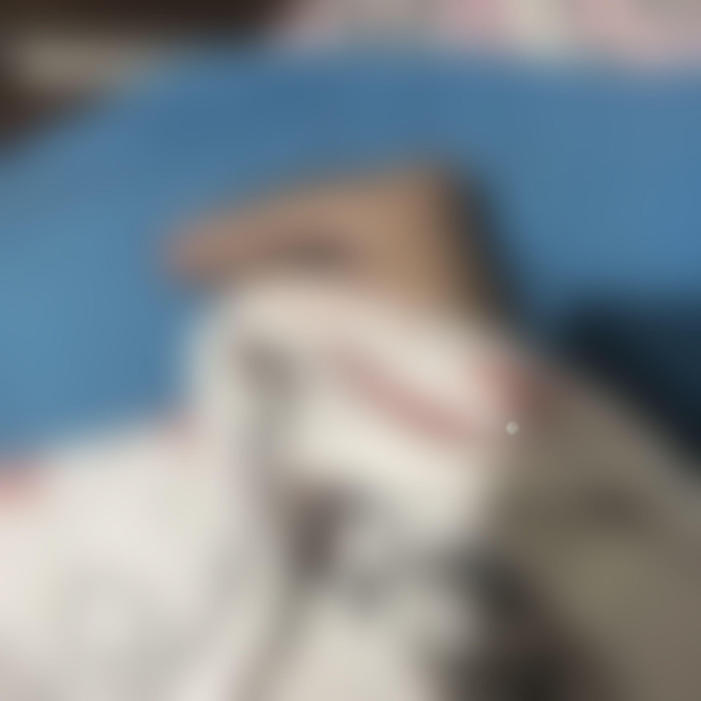 Portada de Álbum "2022", de Mikkee