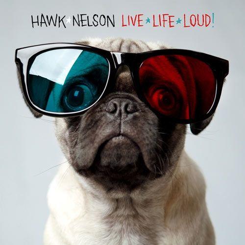 Portada de Álbum "Live Life Loud", de Hawk Nelson