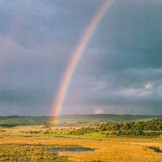 Capa do Single/EP "In the Sky", de Mallrat