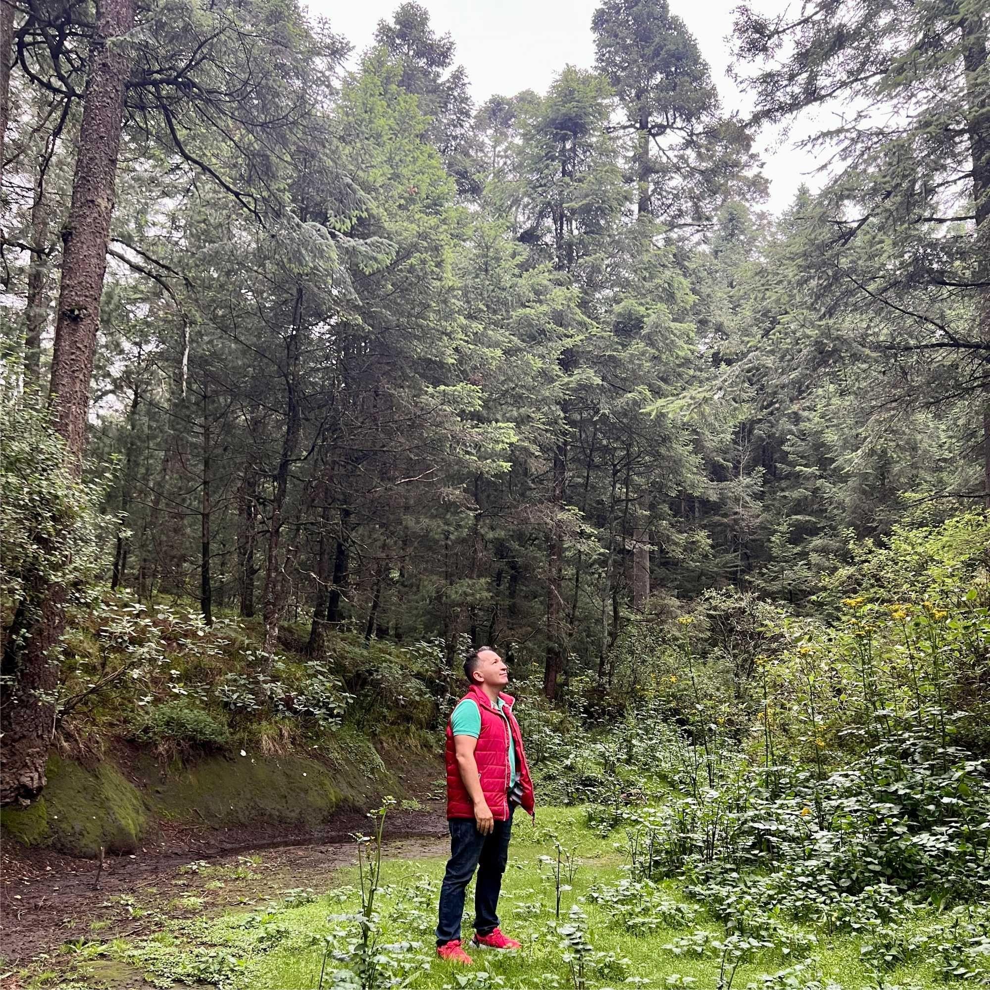 Cover for Single/EP "Momentos" by Omar Aguirre