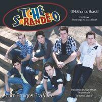 Capa do Álbum "O Melhor do Brasil", de Tche Sarandeio