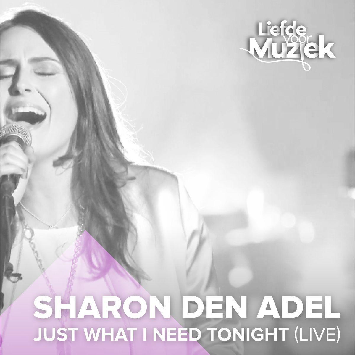 Portada de Álbum "Just What I Need Tonight", de Sharon Den Adel