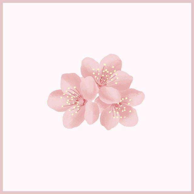 Capa do Single/EP "Sweet Boi ", de Chevy