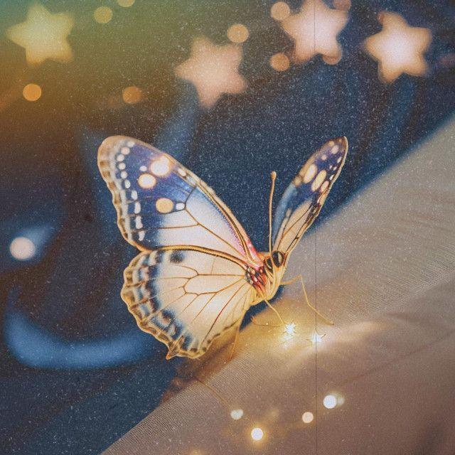 Album cover of "Ciena" by Matheus Lennon