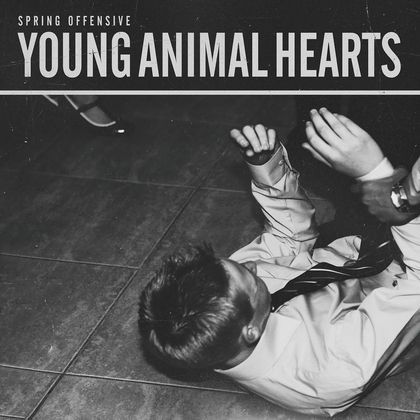 Capa do Álbum "Young Animal Hearts", de Spring Offensive