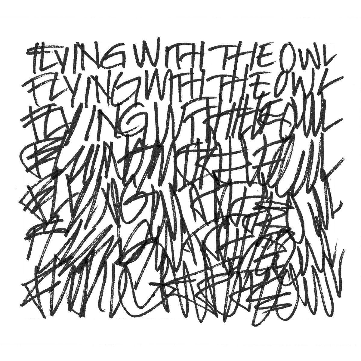 Portada de Álbum "Flying With The Owl", de The Beauty Of Gemina