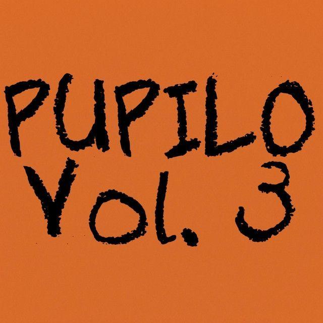 Album cover of "Pupilo (Vol. 3)" by Ferbinho