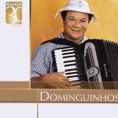 Capa do Álbum "Warner 30 Anos: Dominguinhos", de Dominguinhos