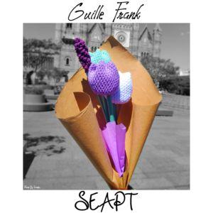 Portada de Álbum "SEAPT", de Guille Frank