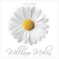 Portada de Álbum "Bem-Me-Quer", de William Molin