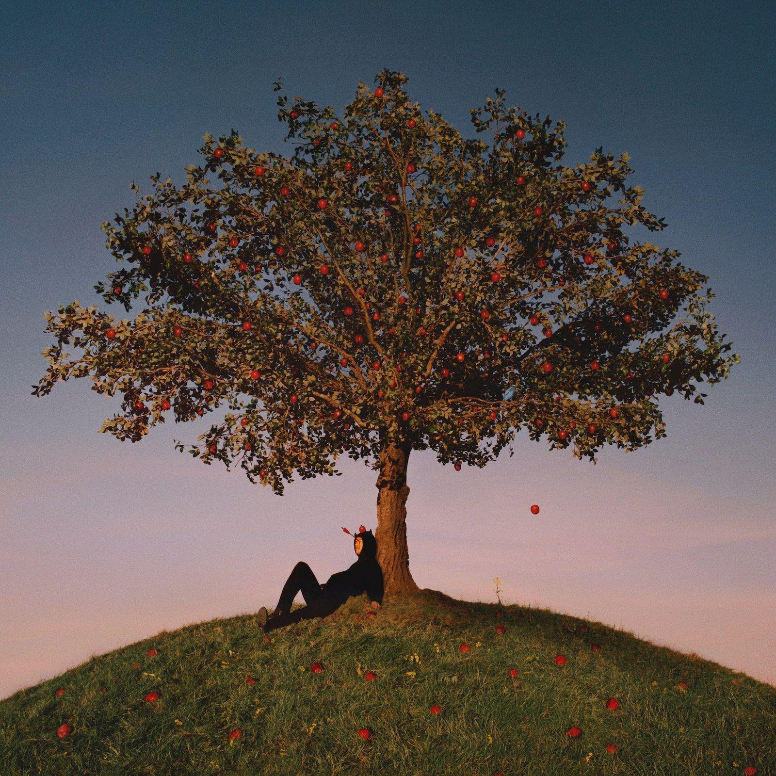 Portada de Álbum "TYRON", de slowthai