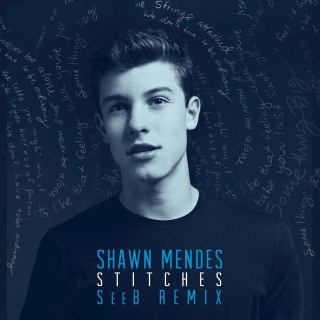 Album cover of "Stitches (Seeb Remix)" by Shawn Mendes