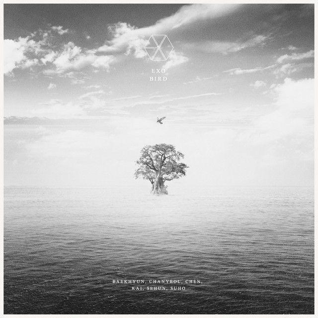 Portada de Sencillo/EP "Bird", de EXO 