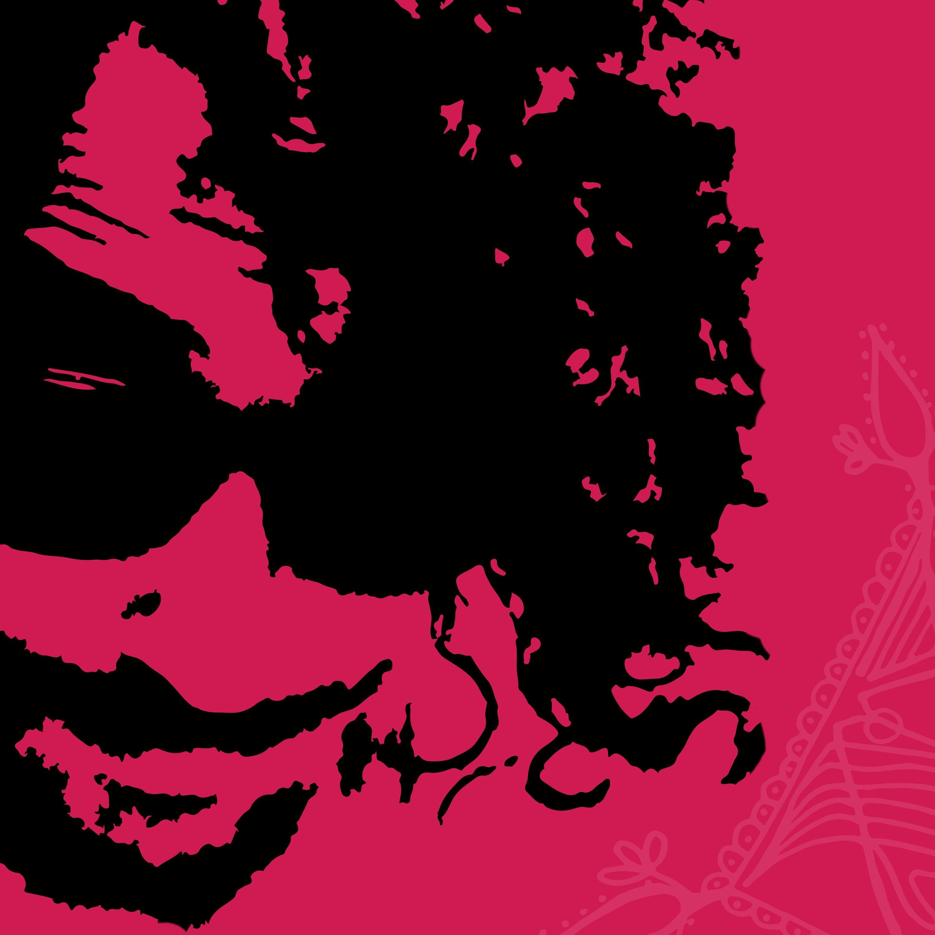 Album cover of "Teimoso, Vaidoso e Outros Defeitos mais" by Olivêra