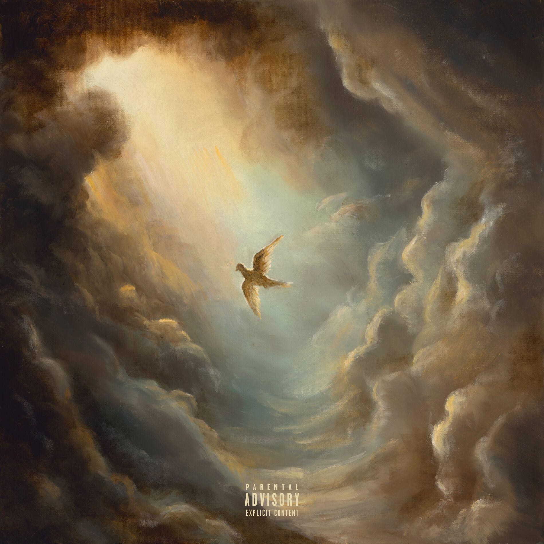 Portada de Álbum "Do You See The Birds, Too? ", de Aaryan Shah